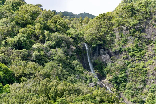 Malerische Waihirere Falls Und Busch Der Route Rund Die Ostküste — Stockfoto