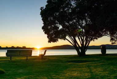 Boş bank koltukları ve gölgedeki pohutukawa ağacı Tauranga 'daki Anma Parkı' nın altın gündoğumu ile aydınlandı..