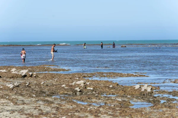 Tokomaru Bay Νέα Ζηλανδία Φεβρουαρίου 2022 Τοπική Θήρα Μαορί Fossicking — Φωτογραφία Αρχείου