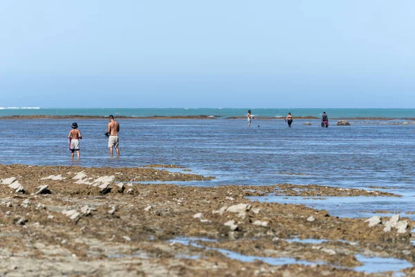 Tokomaru Bay Νέα Ζηλανδία Φεβρουαρίου 2022 Τοπική Θήρα Μαορί Fossicking — Φωτογραφία Αρχείου