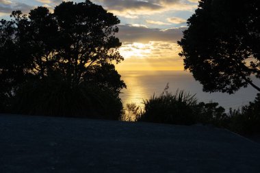 Taueanga 'daki Maunganui Dağı' nın yamacından yükselen deniz ve güneşin oluşturduğu siluet ağaç yapraklarının arasından bakın.,
