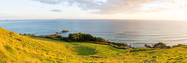 Panorama Zeleného Travnatého Svahu Hory Maunganui Vedoucí Dolů Pěší Stezku — Stock fotografie