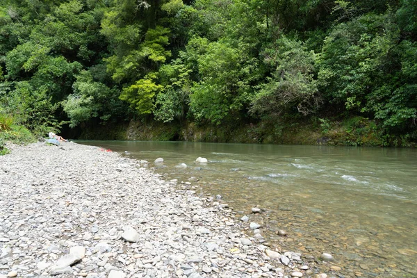 Natursköna Waioeka Gorge Och Flod Landskap Vatten Rinner Över Stenig — Stockfoto