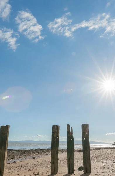 Gamla Väderbitna Bryggstolpar Står Rad Stranden Kasta Skugga Sand — Stockfoto