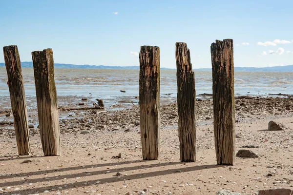 Старые Погодные Причальные Столбы Стоящие Ряд Пляже Бросающие Тень Песок — стоковое фото