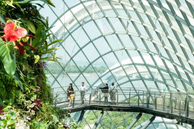 Singapur - 18 Ağustos 2015; Singapur 'da botanik kubbesindeki yüksek tahta kaldırımda ziyaretçiler. Bahçe parkı, modern seralar ve deniz kenarındaki parkların yer aldığı üç liman bölgesinden oluşuyor.
