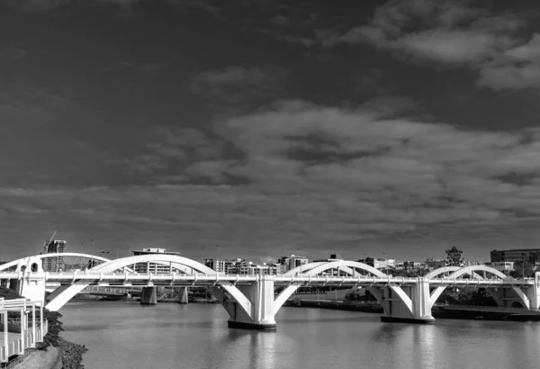 Sole Colpisce Bianco William Jolly Bridge Attraversa Fiume Brisbane Sud — Foto Stock