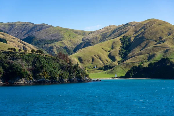 Small Bay Rolling Hill Farmland Marlborough Sounds Viewed Sea — Stock Photo, Image