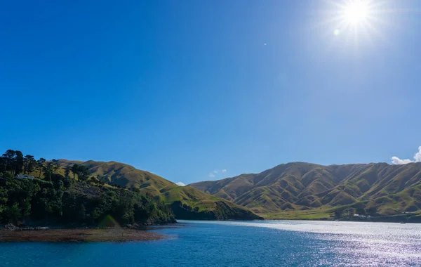 Into sun the farming hills around a bay in Marlborough Sounds looks idyllic under blue sky from ferry entering Picton Port New Zealand.
