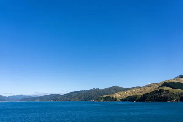 南の島とマルボロの頂上として水面下の海鳥の群れ音は ニュージーランドによって近づいています — ストック写真