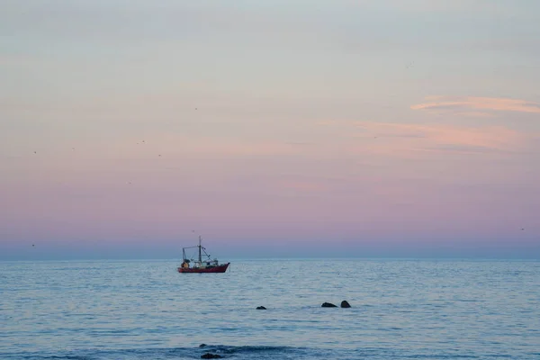 新西兰开考拉黄昏时分停泊在海湾的渔船 — 图库照片