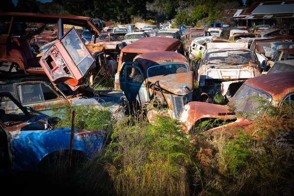 Horopito New Zealand April 2022 Enormous Smash Palace Vehicle Wreckers — Stock Photo, Image