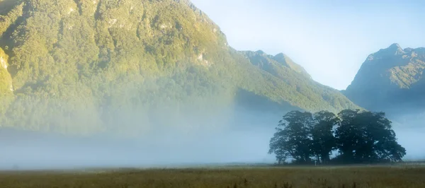 Montanhas Alpes Sul Fiordland Subir Sobre Terra Névoa Manhã Baixa — Fotografia de Stock