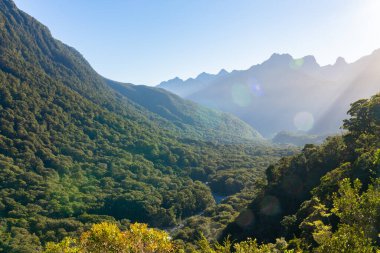 Tipik yağmur ormanları Güney Alpleri 'nde dağları ve vadiyi mercek alevleriyle kaplamıştır..