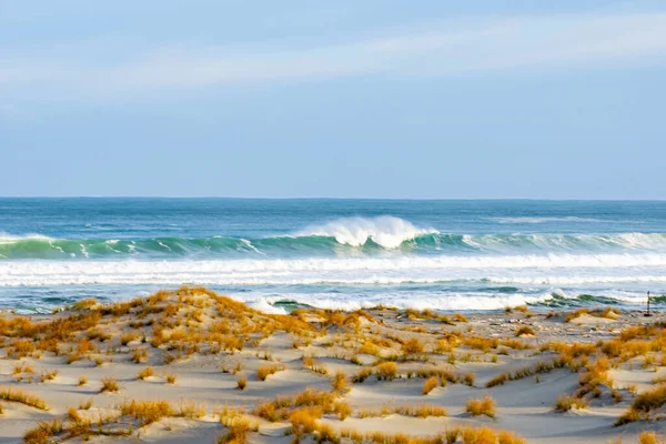 Sand Dunes Surf Waves Martin Bay Fiordland New Zealand — Stock Photo, Image