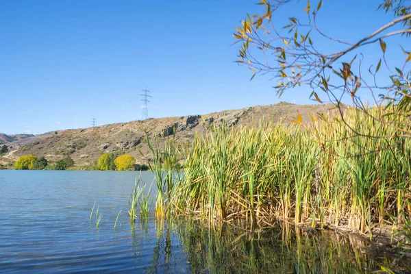 Γραφική Άκρη Της Λίμνης Dunstan Και Περιβάλλει Φθινοπωρινά Χρώματα Στο — Φωτογραφία Αρχείου