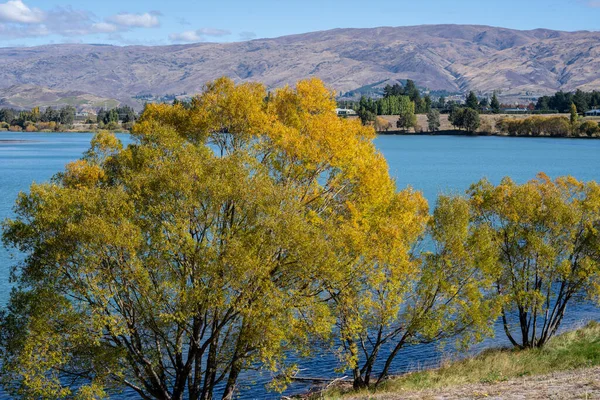 風光明媚なダンスタン湖とクロムウェル南島で秋の色に囲まれてニュージーランド — ストック写真