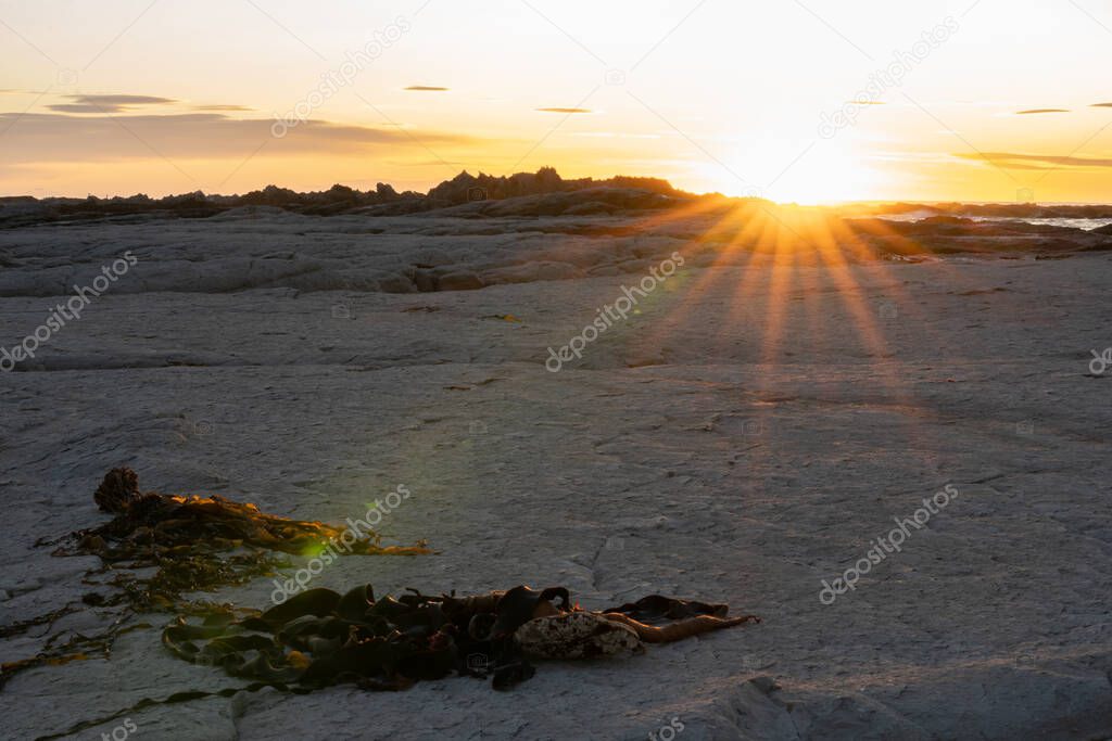 Sunrises colorfully over Kaikoura extensive white mud-stone rock ledges in South Island, New Zealand.