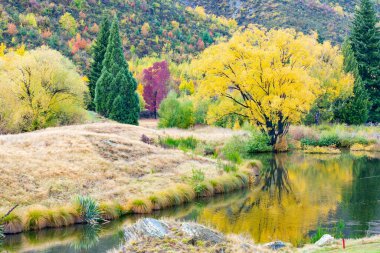 Arrow Nehri üzerinde, Queenstown Yeni Zelanda bayırı boyunca göz kamaştırıcı sonbahar renkleri.