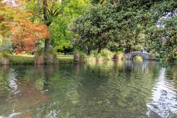 Lagoa Fonte Cercada Por Uma Luxuosa Folhagem Outono Queenstown Gardens — Fotografia de Stock