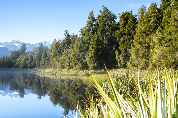 Perfecte Reflectie Lake Matheson Omgeven Door Prachtige Natuurlijke Bos Onder — Stockfoto