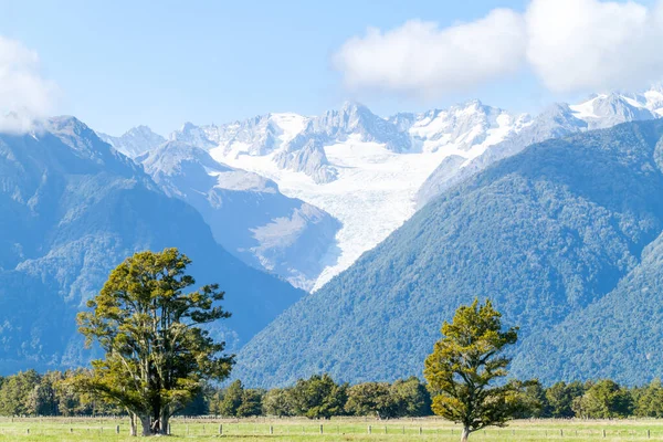 Túl Zöld Tanyán Déli Alpok Lábainál Fox Glacier Népszerű Turisztikai — Stock Fotó