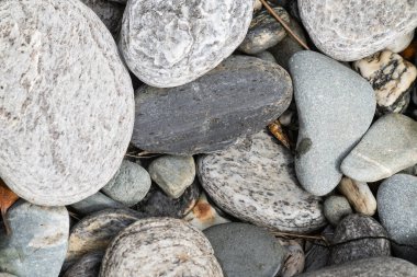 Batı Sahili 'nin güney adası Yeni Zelanda' da parlak, ıslak nehir taşları..