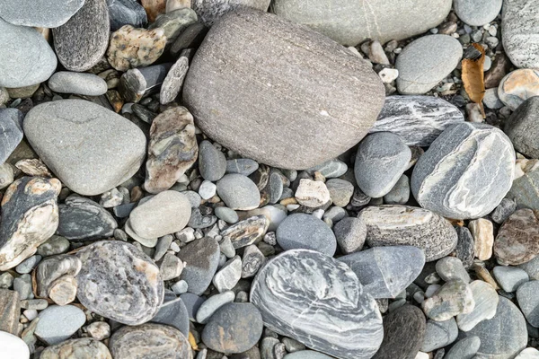 Shiny wet river stones on Westland beach South Island New Zealand.