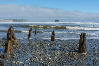 Rapahoe, Yeni Zelanda 'daki tipik engebeli güney adası batı sahili..