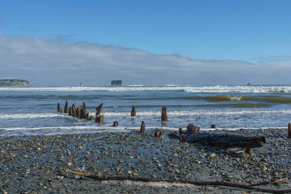 Typické Drsné South Island West Coast Beach Rapahoe Nový Zéland — Stock fotografie