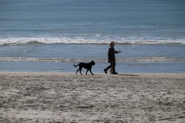 Tauranga Yeni Zelanda - 3 Temmuz 2022; Sular boyunca yürüyen siluetli iki adam ve siyah köpek Maunganui Dağı plajında