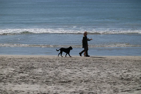 Tauranga Nova Zelândia Julho 2022 Dois Homens Cão Preto Silhueta — Fotografia de Stock