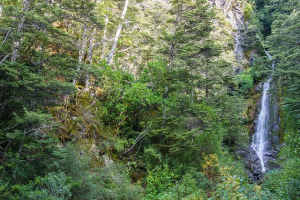High Punchbowl Wodospad Spada Dół Skalną Twarz Między Bujną Zieloną — Zdjęcie stockowe