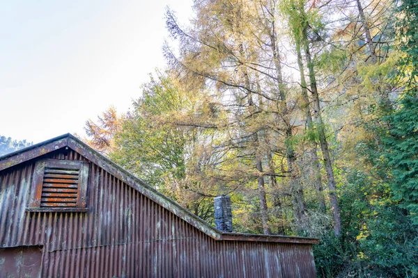 Gable Old Shed Surrounded Tall Trees Start Murray Creek Walking — Stockfoto