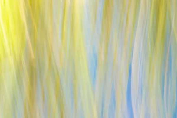 Abstract Nature Impressionist Wetland Vegetation — Stockfoto