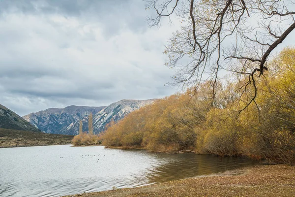 Scenic Shore Lake Pearson Craigieburn South Island New Zealand — ストック写真