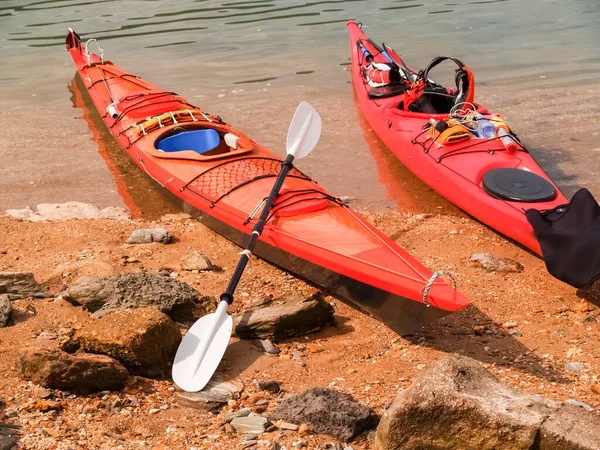 Kayaks Left Beach Paddles Equipment Edge Kenepuru Sound —  Fotos de Stock