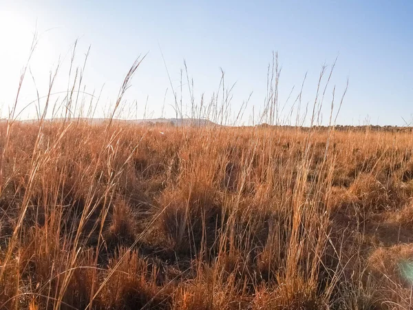 Afrikaans Droog Landschap Van Ruw Niveau Kijkend Zon Met Lensvlam — Stockfoto
