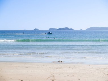 Background image of Opito Bay beach in summer., Coromandel, New Zealand.