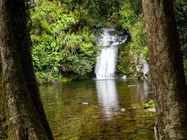 Picturesque waterfall in New Zealand bush near Lake Waikareomoana.