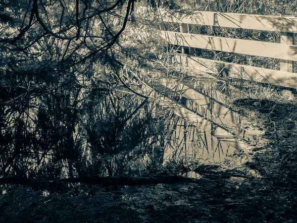 Turn Sepia Toned Effect Wooden Fence Reflected Swamp Surrounded Trees — Fotografia de Stock