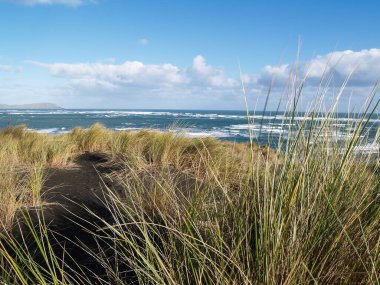 West Coast view over vegetation covered dunes and sea North Island New Zealand.