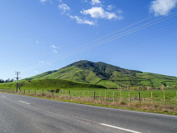 Waikato Fertile Green Grassland Hill Road Blue Sky New Zealand — Stock Photo, Image