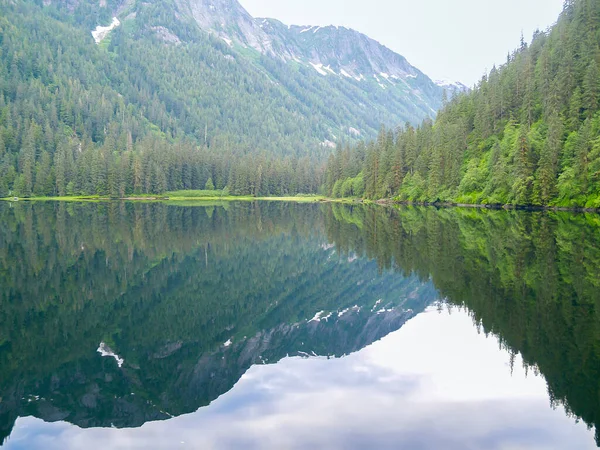 Calm water surrounded by mountains and forest to waters edge beautifully reflected Alaskan landscape.
