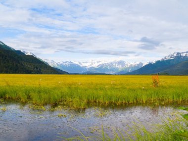 Geniş sulak arazi. Su ve yeşil bitki örtüsü. Dağlarla çevrili, Alaska dağlarında kara doğru ilerliyor.