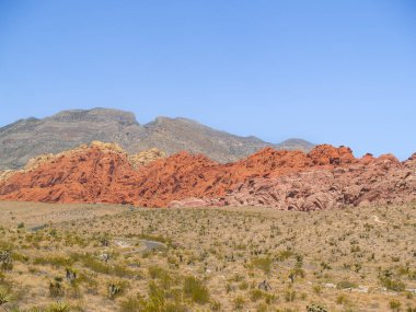 Nevada 'da mavi gökyüzü altında Red Rock Kanyonu manzarası.