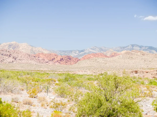 Expansive desert scene flat sandy earth with log green vegetation stretching to distant tiered hills, Nevada, USA