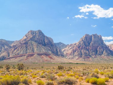 Nevada çöl manzarası, Mojave Çölü 'ndeki Kızıl Kaya Kanyonu' nun mavi gökyüzü altında demir oksit kırmızı çizgilerini gösteriyor..