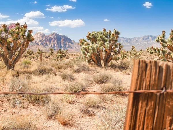 Paisaje Desértico Nevada Con Elevación Rocosa Que Muestra Rayas Rojas — Foto de Stock