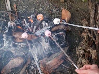 Geleneksel eğlence açık ateşte marşmelov kızartmak..